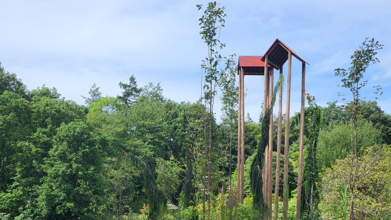 From Chelsea To Bangor: New Garden Opens At Treborth | Bangor University